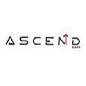 Ascend Logics Company Logo