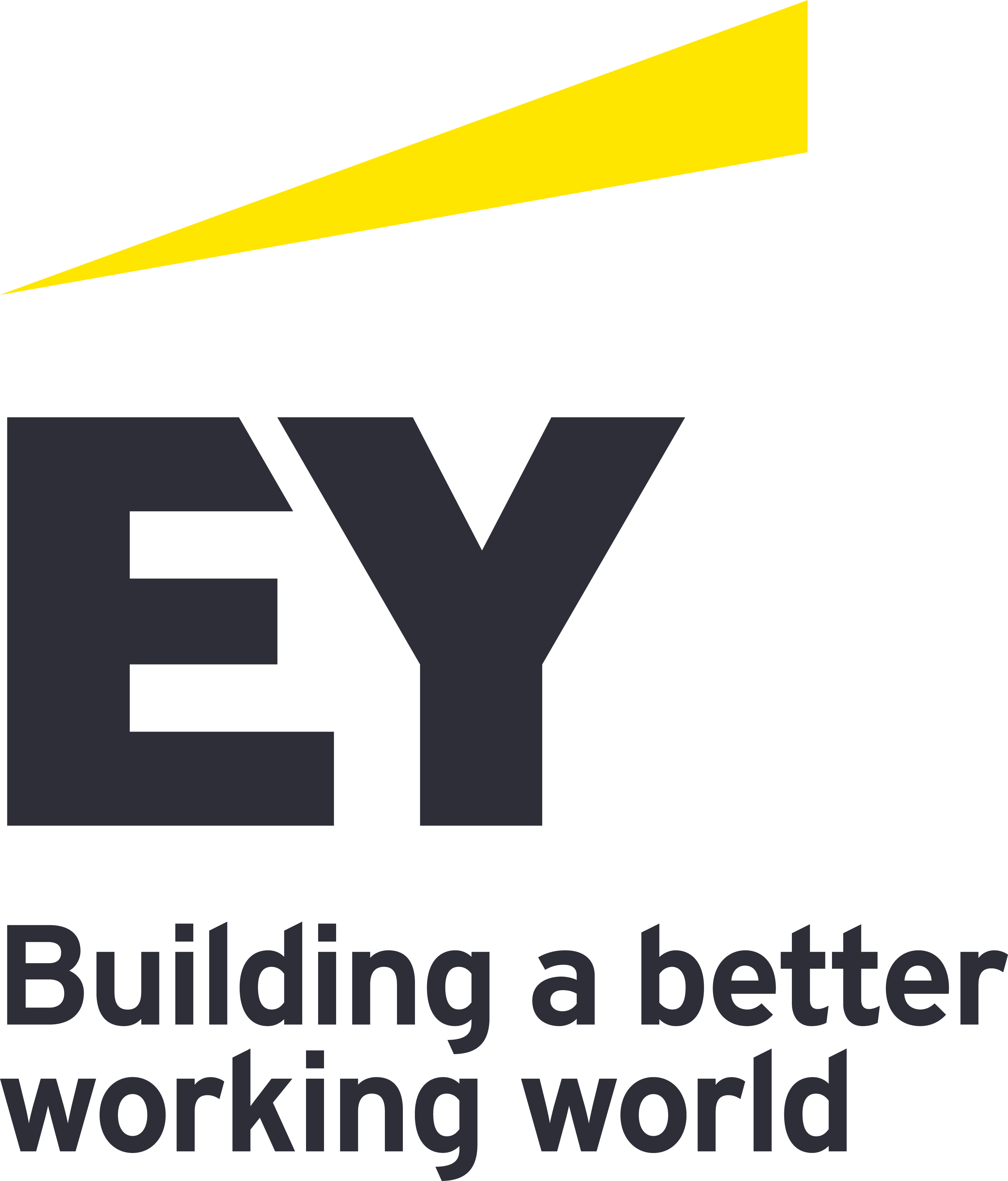 Ernst & Young LLP (EY US) Company Logo
