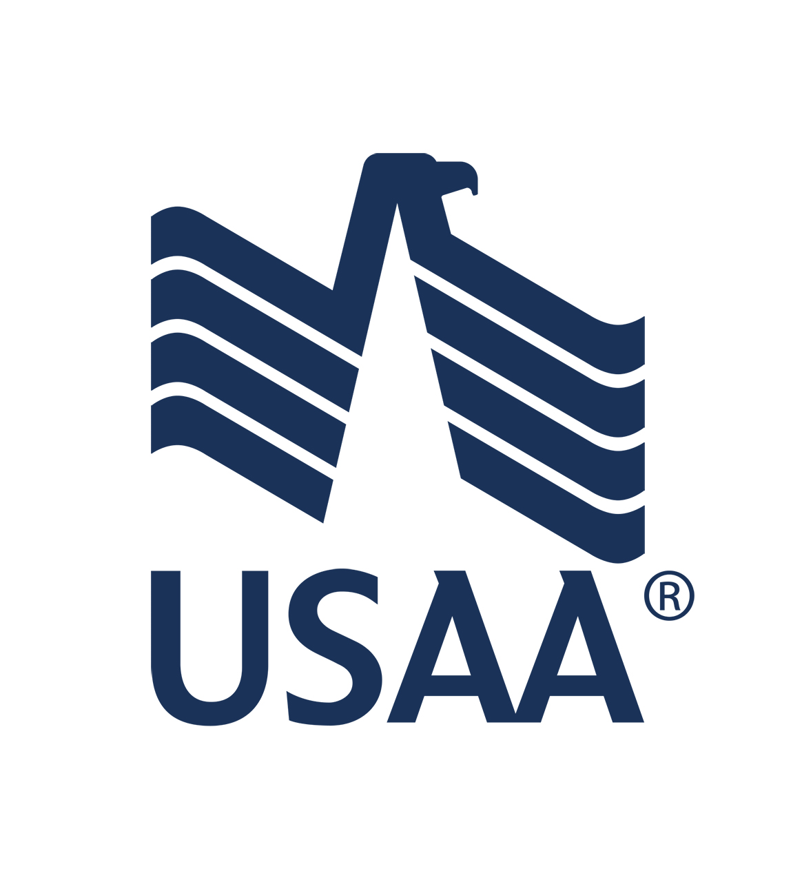 USAA Company Logo
