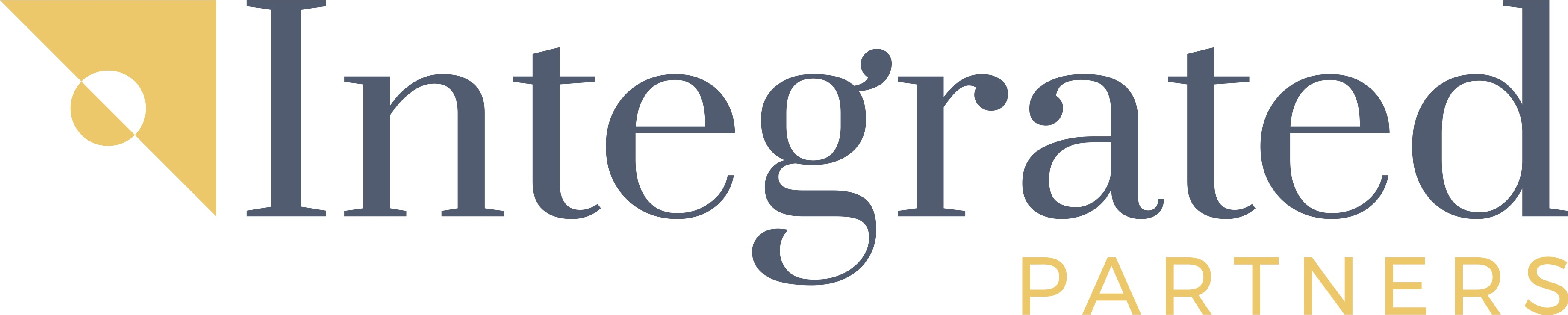 Integrated Partners Company Logo