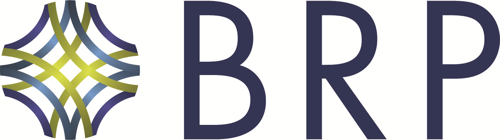 Baldwin Risk Partners logo