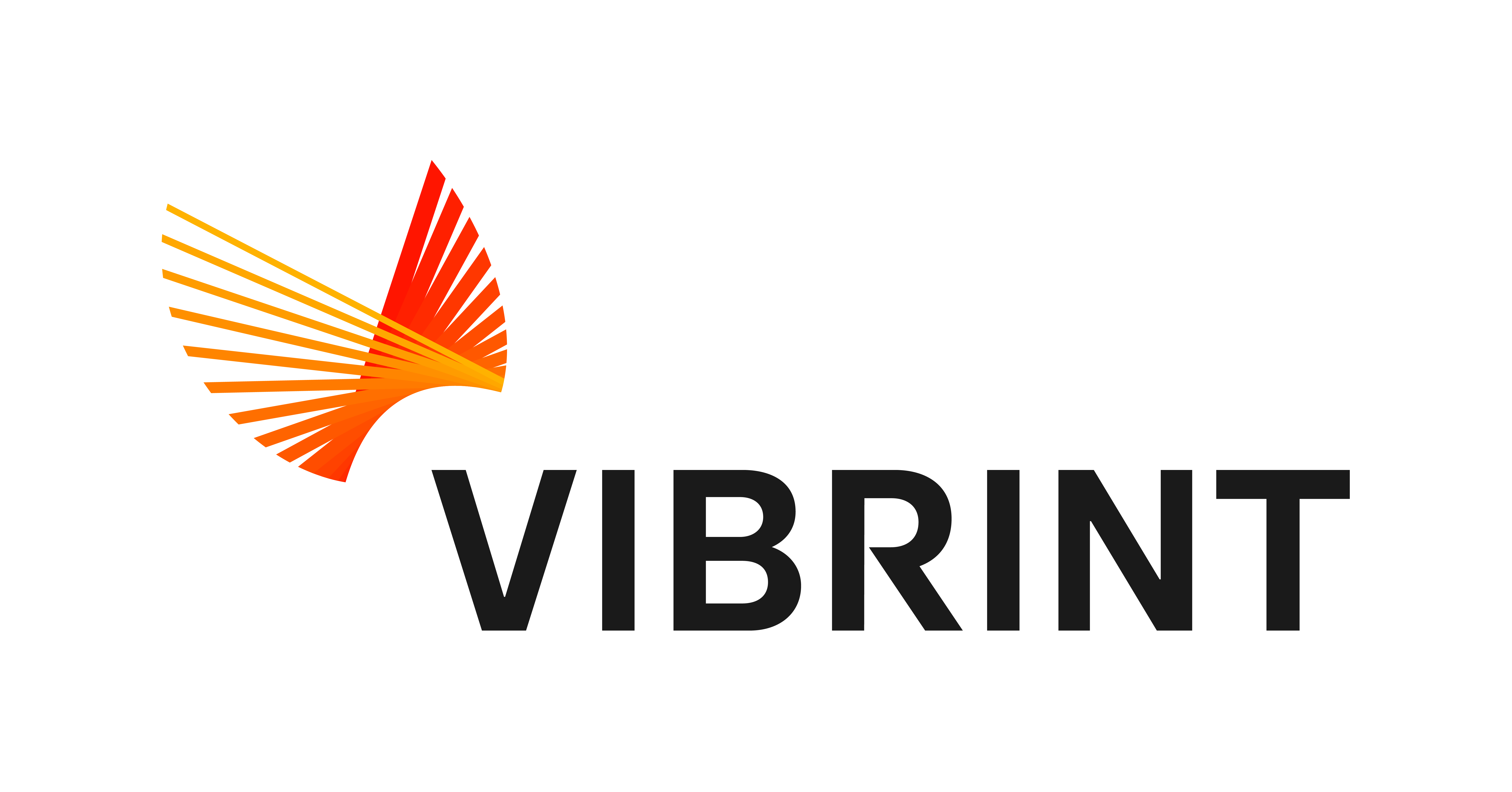 Vibrint Company Logo