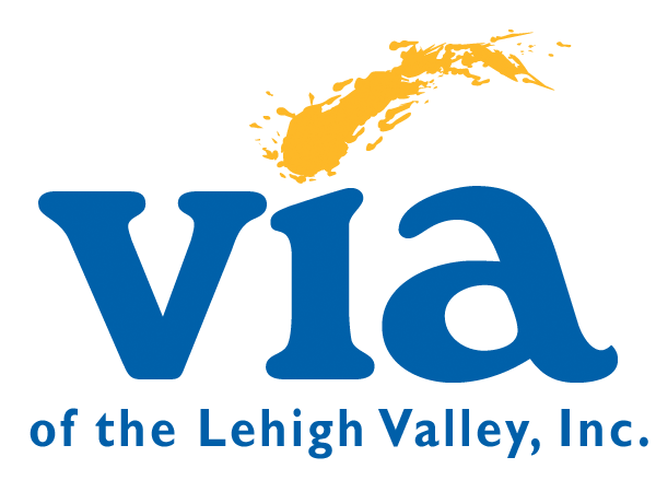 Via Of The Lehigh Valley Company Logo
