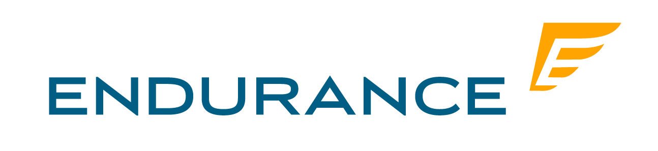 Endurance Warranty Services Company Logo