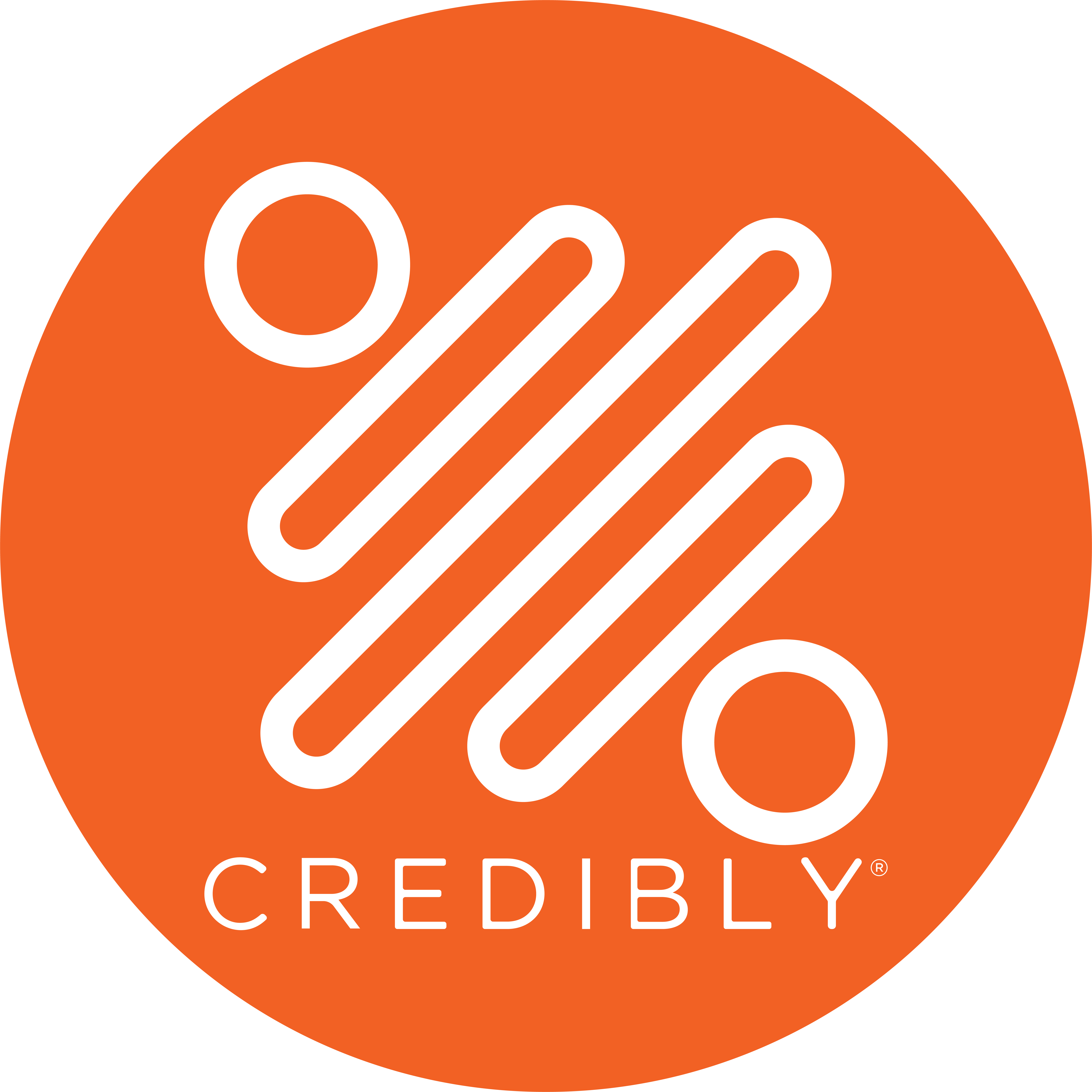 Credibly Company Logo