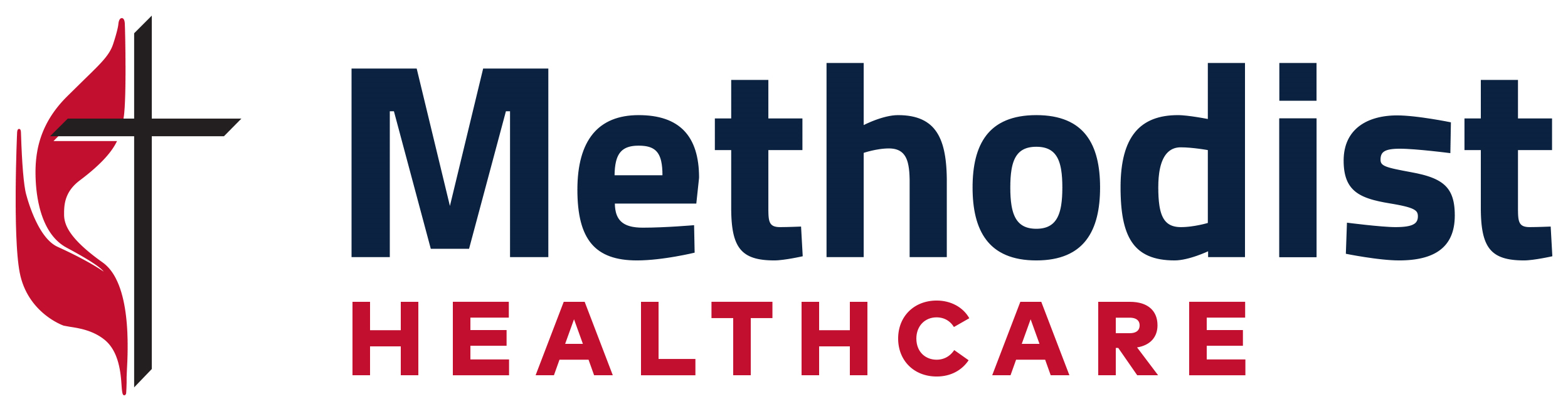Methodist Healthcare Company Logo