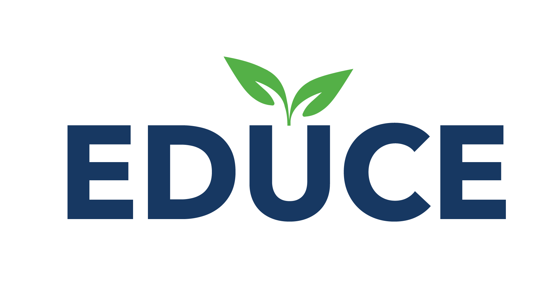 Educe Group Company Logo