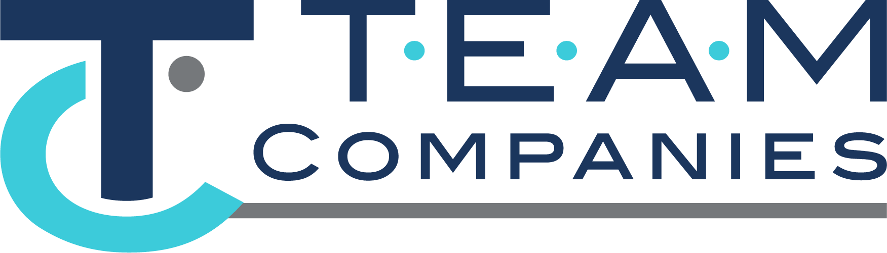 TEAM Professional Services Companies Company Logo