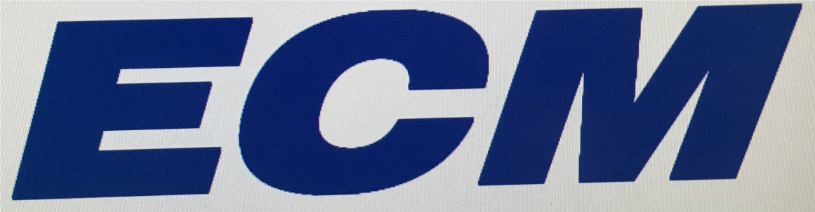 ECM Consultants Inc logo
