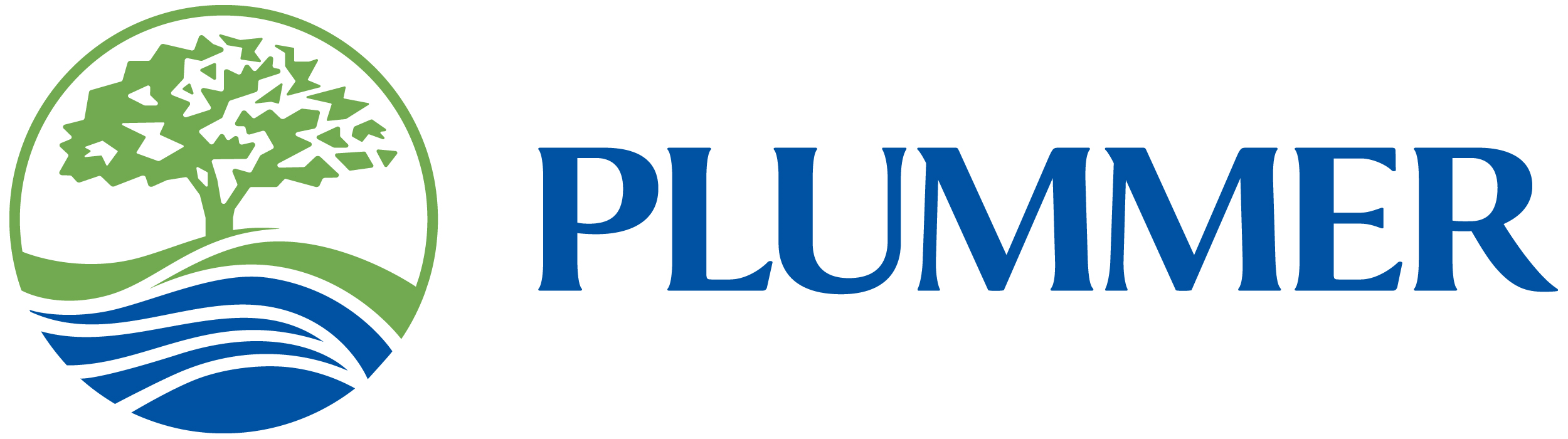 Plummer Associates, Inc. logo