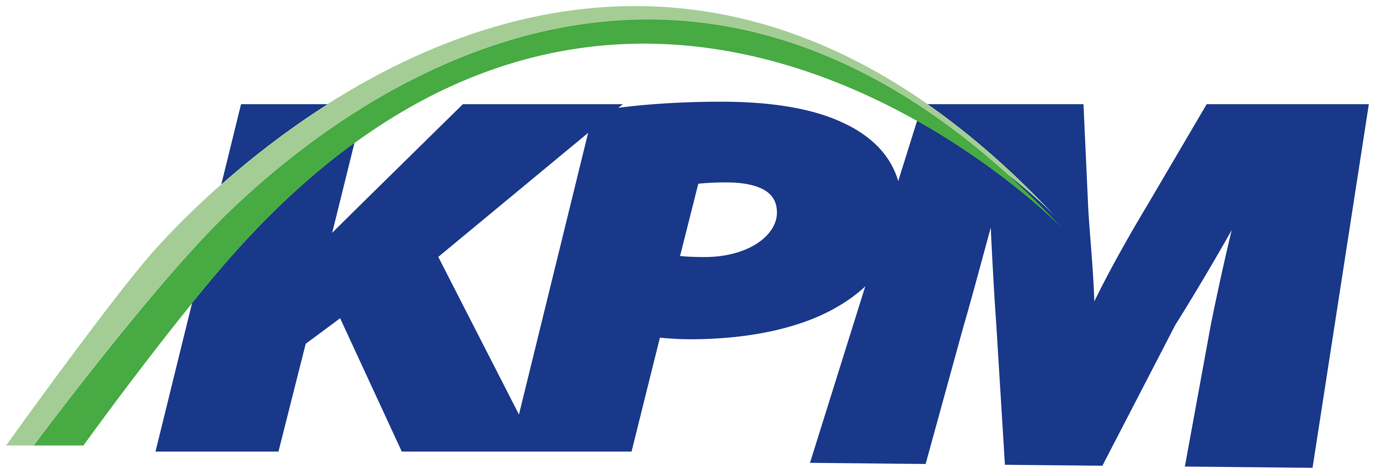 KPM Exceptional LLC logo