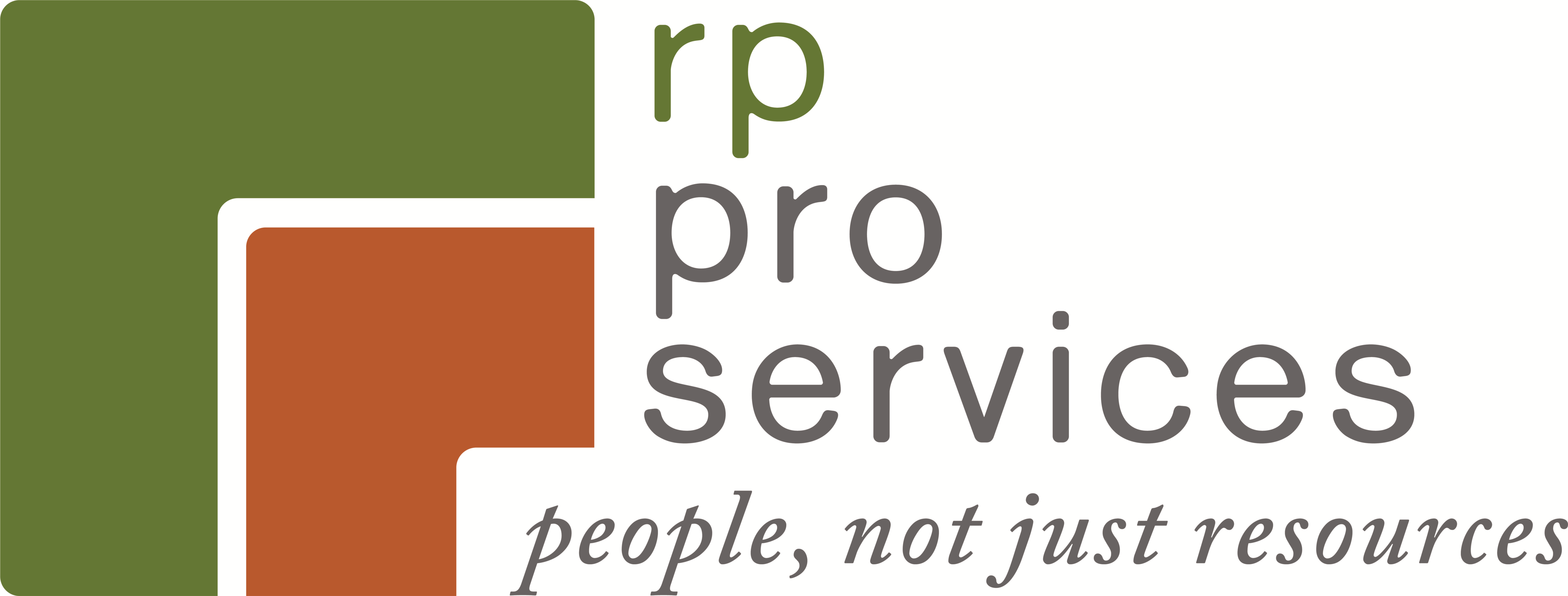 RP Professional Services, LLC logo