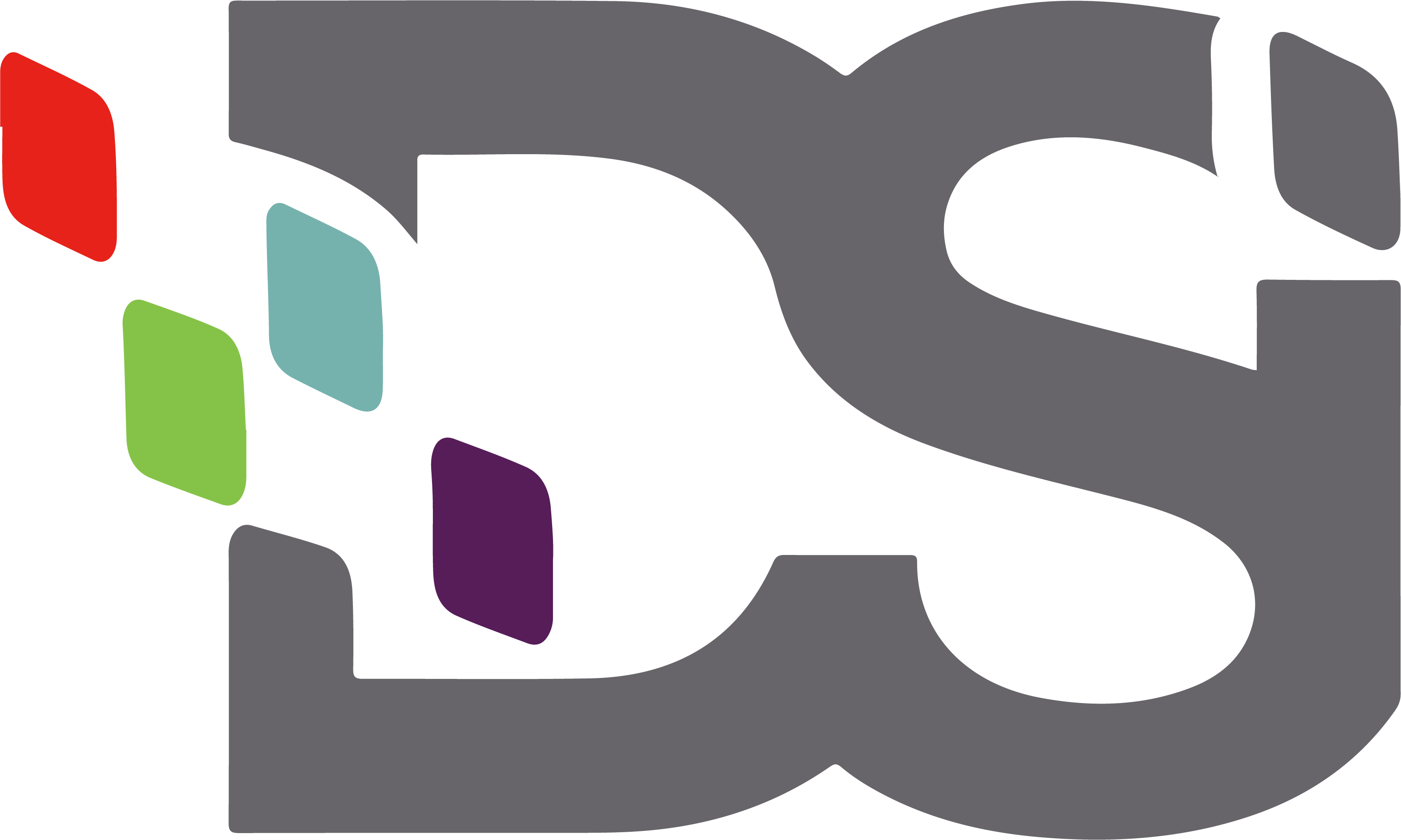 DSI Company Logo