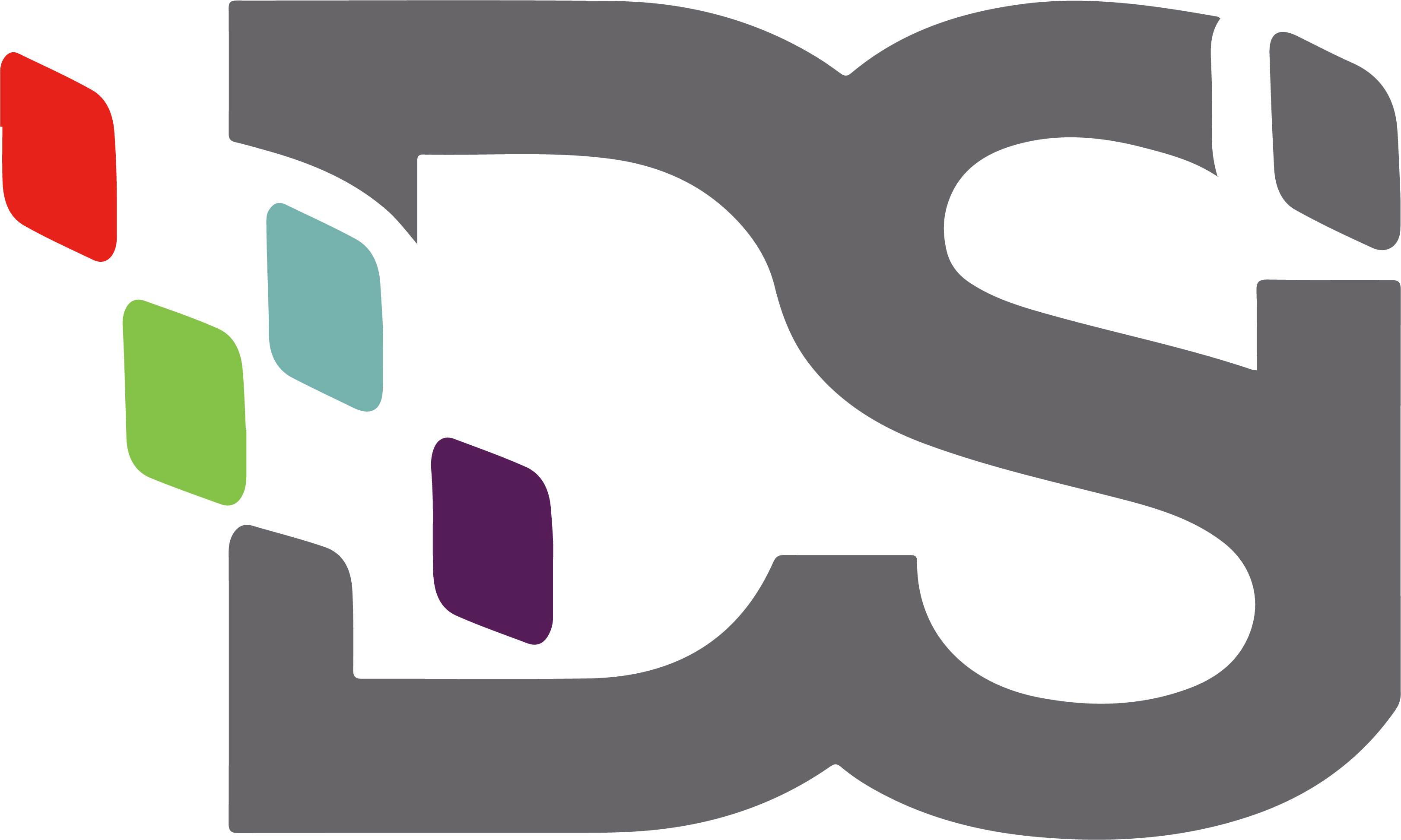 DSI logo