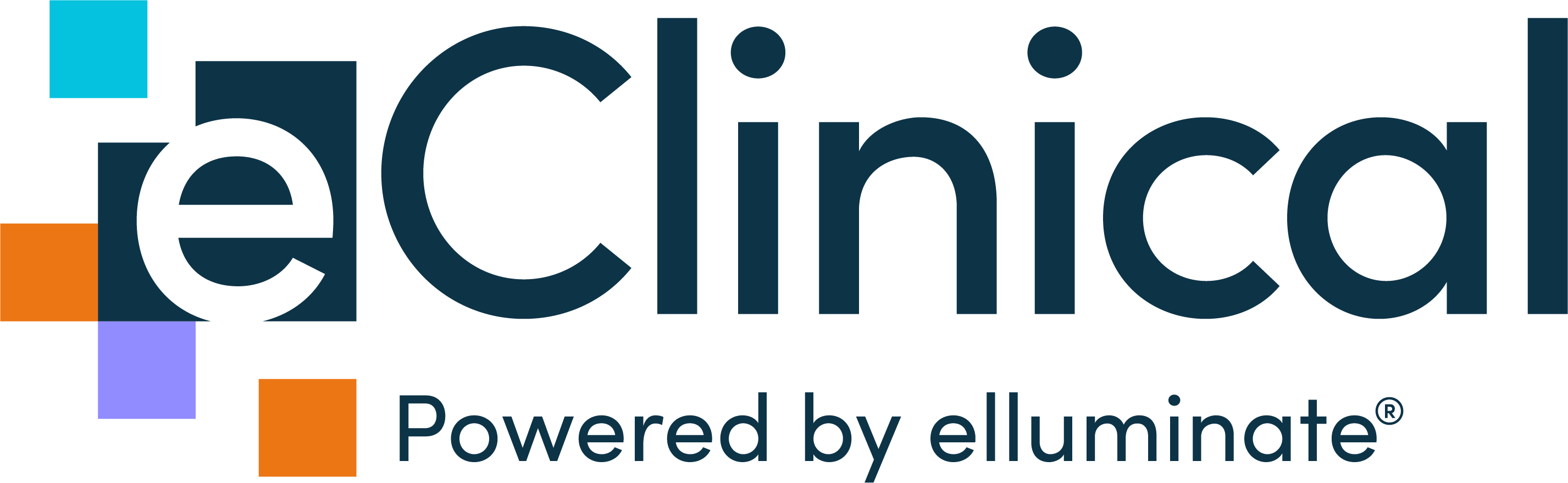 eClinical Solutions Company Logo