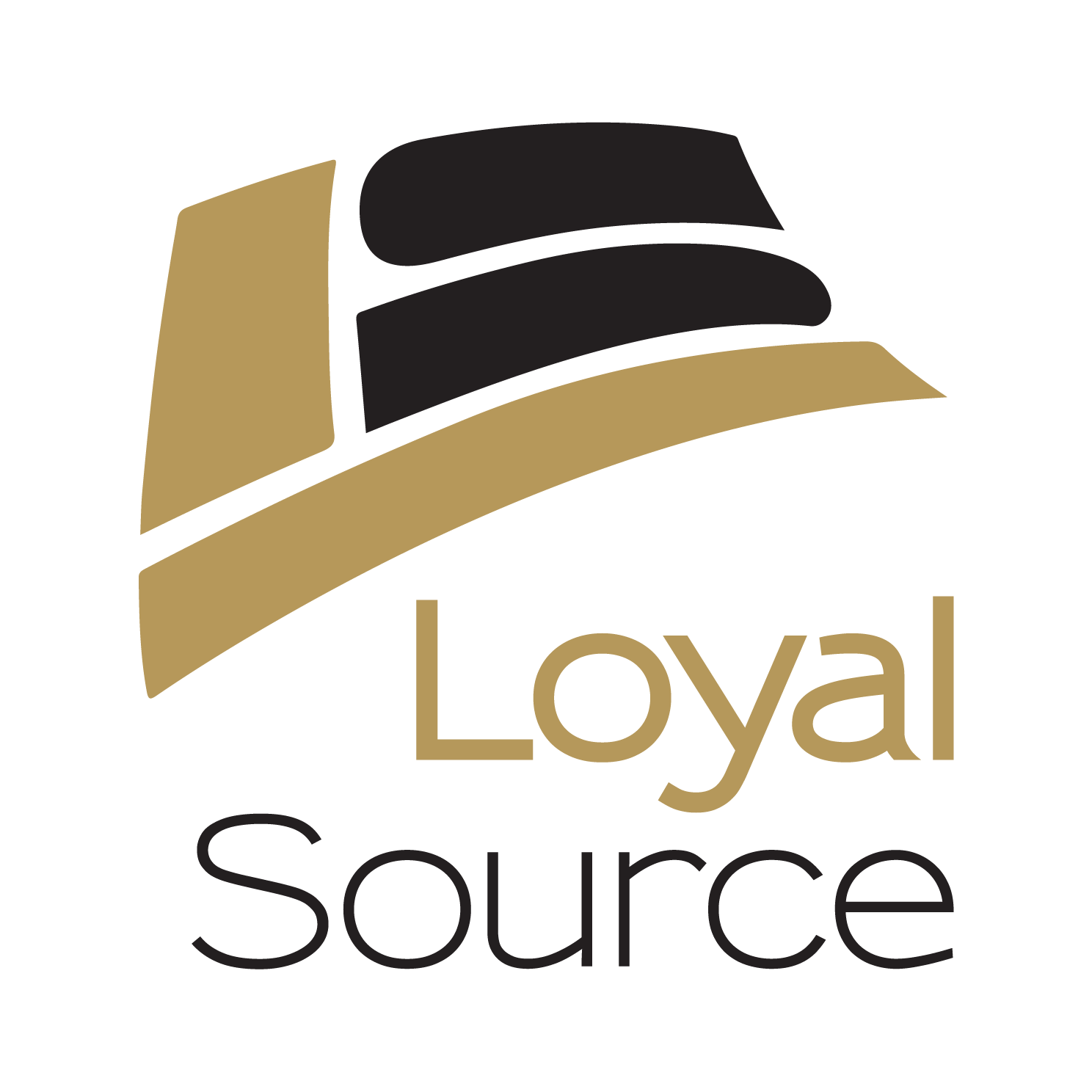 Loyal Source Government Services logo