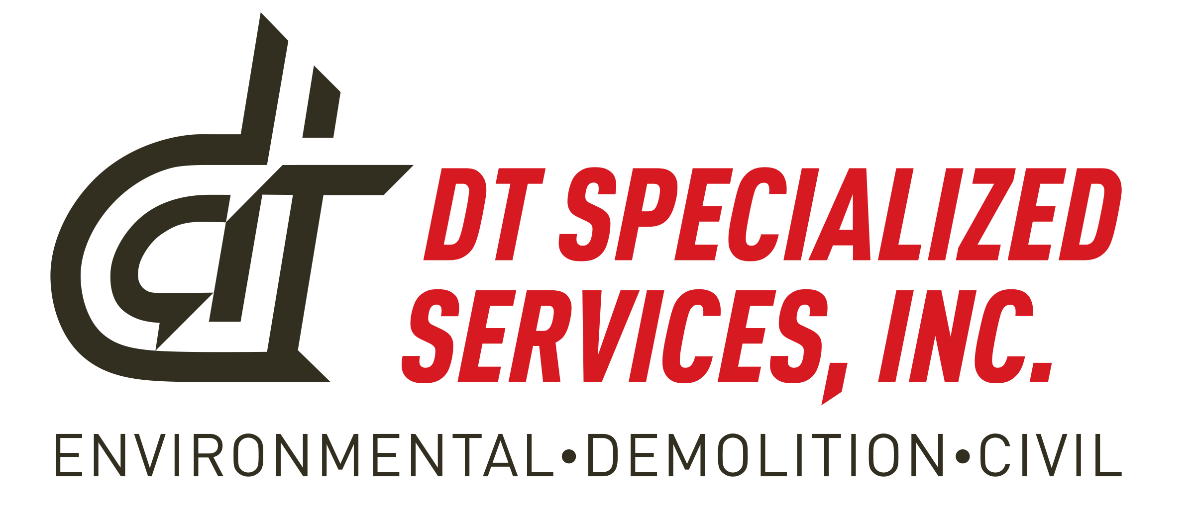 DT Specialized Services Profile