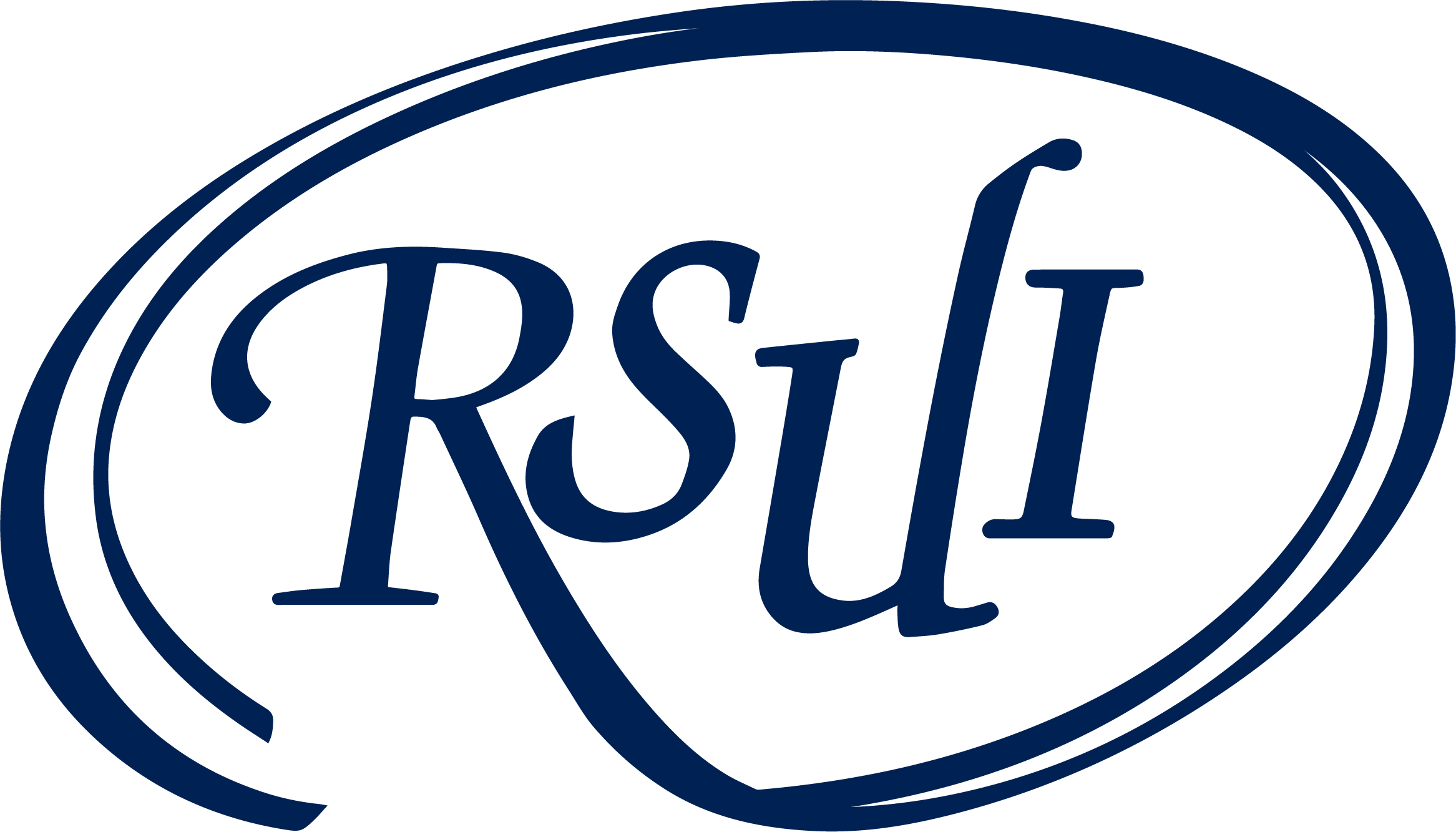 RSUI Group, Inc. logo