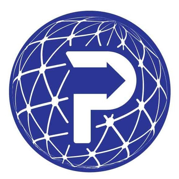 Paybotic Company Logo