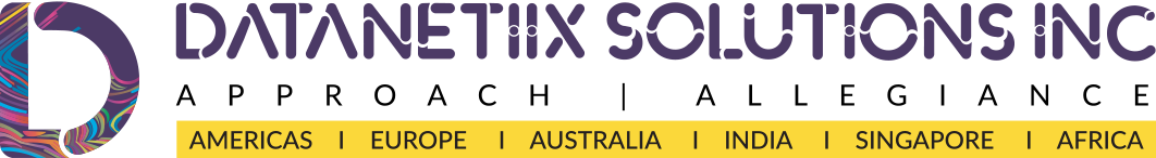 Datanetiix Solutions, Inc. logo