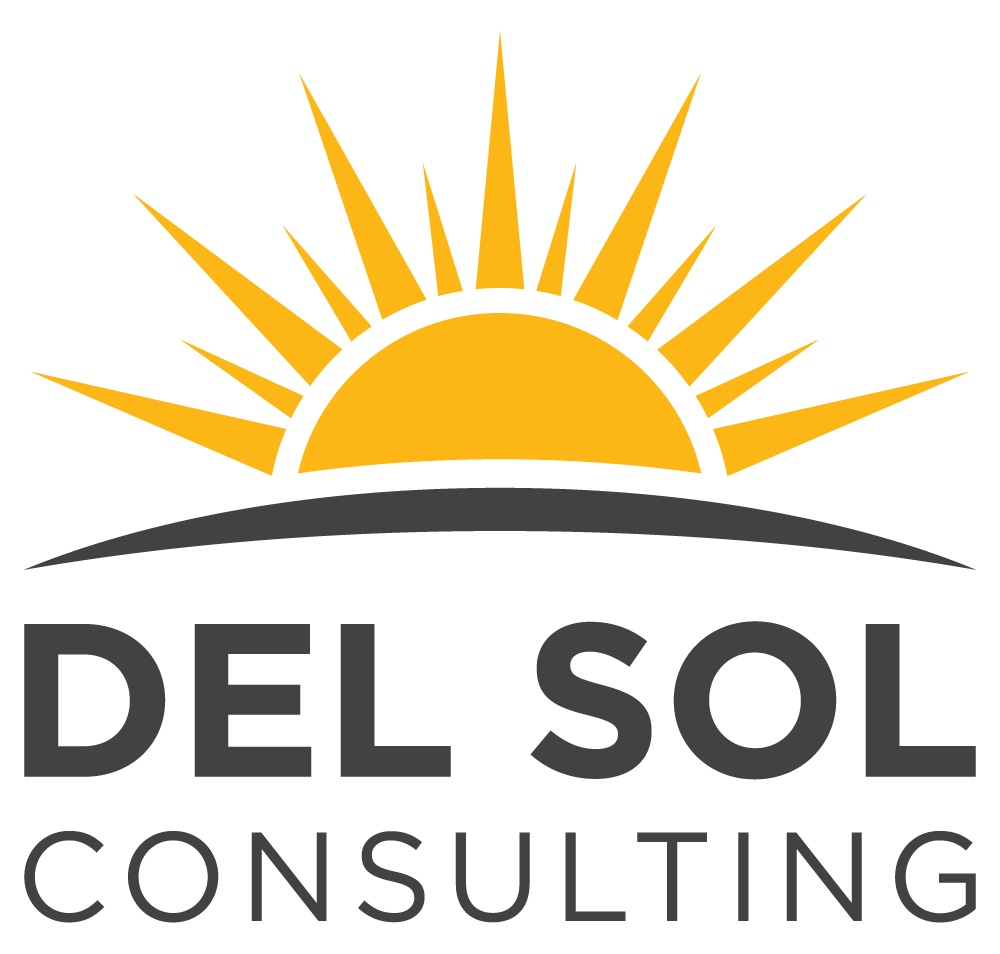 Del Sol Consulting, Inc logo