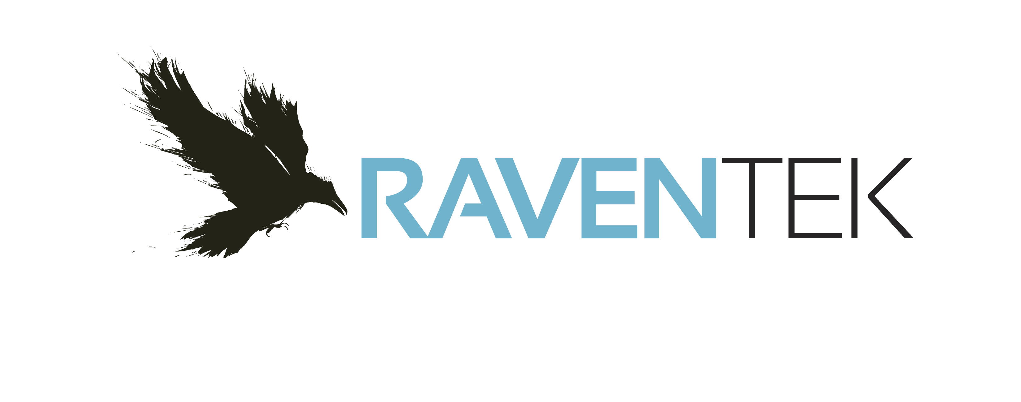 RavenTek Companies logo