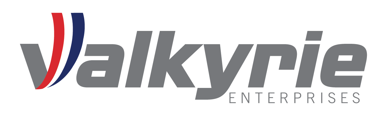 Valkyrie Company Logo