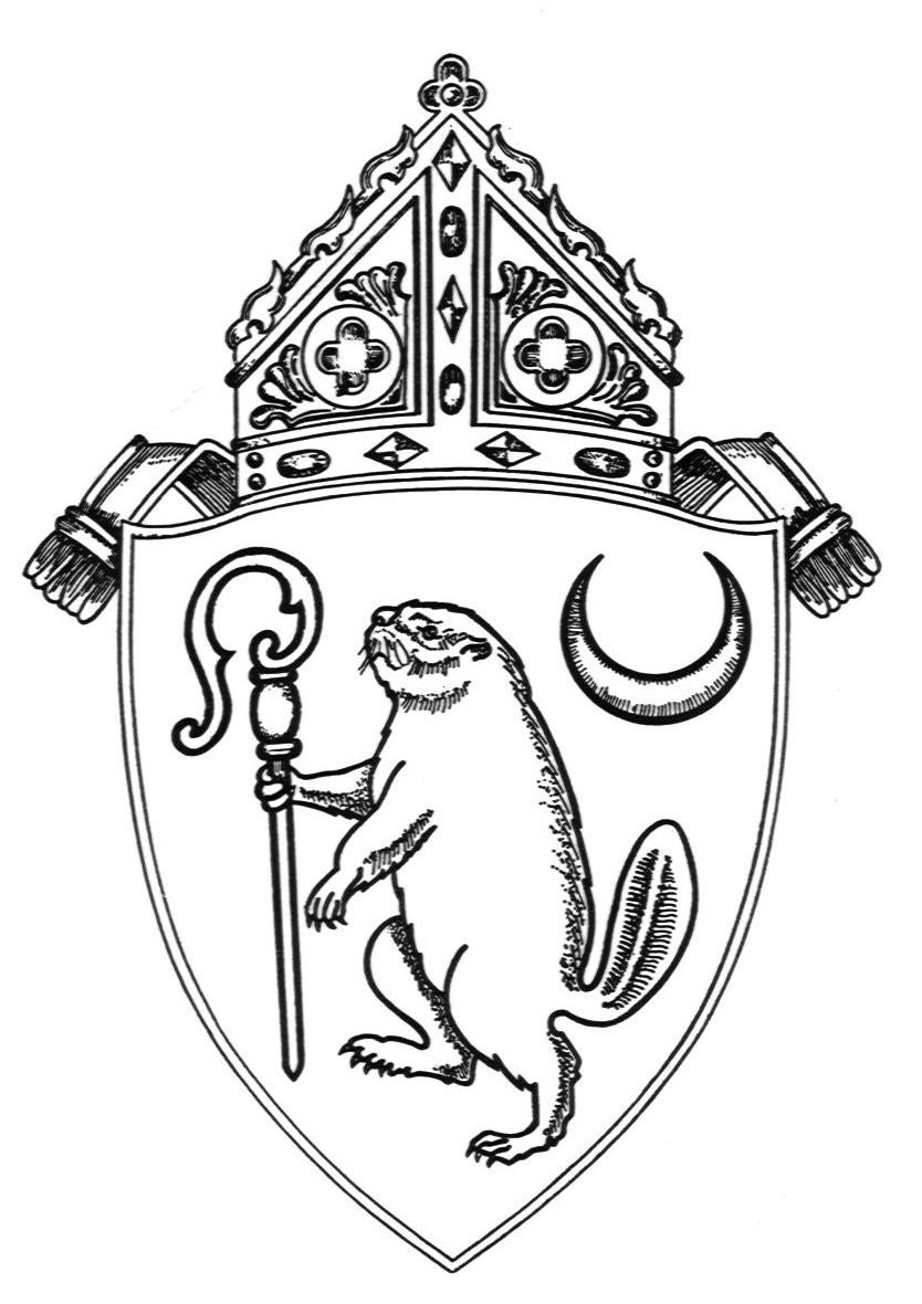 Roman Catholic Diocese of Albany logo