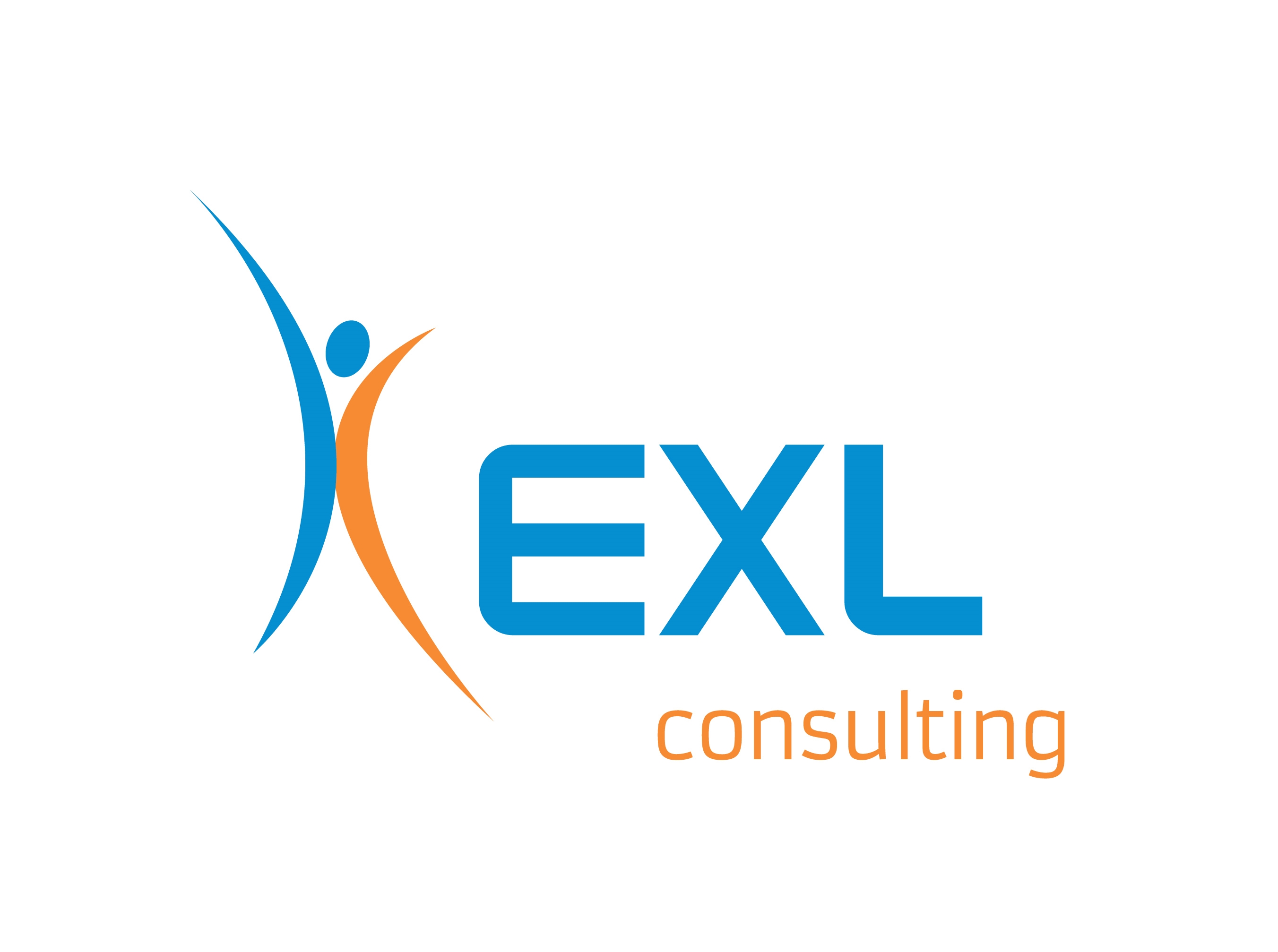 EXL Consulting - Albany logo