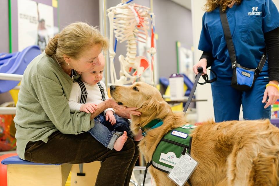 Our therapy dogs work hard to cheer up employees and patients.