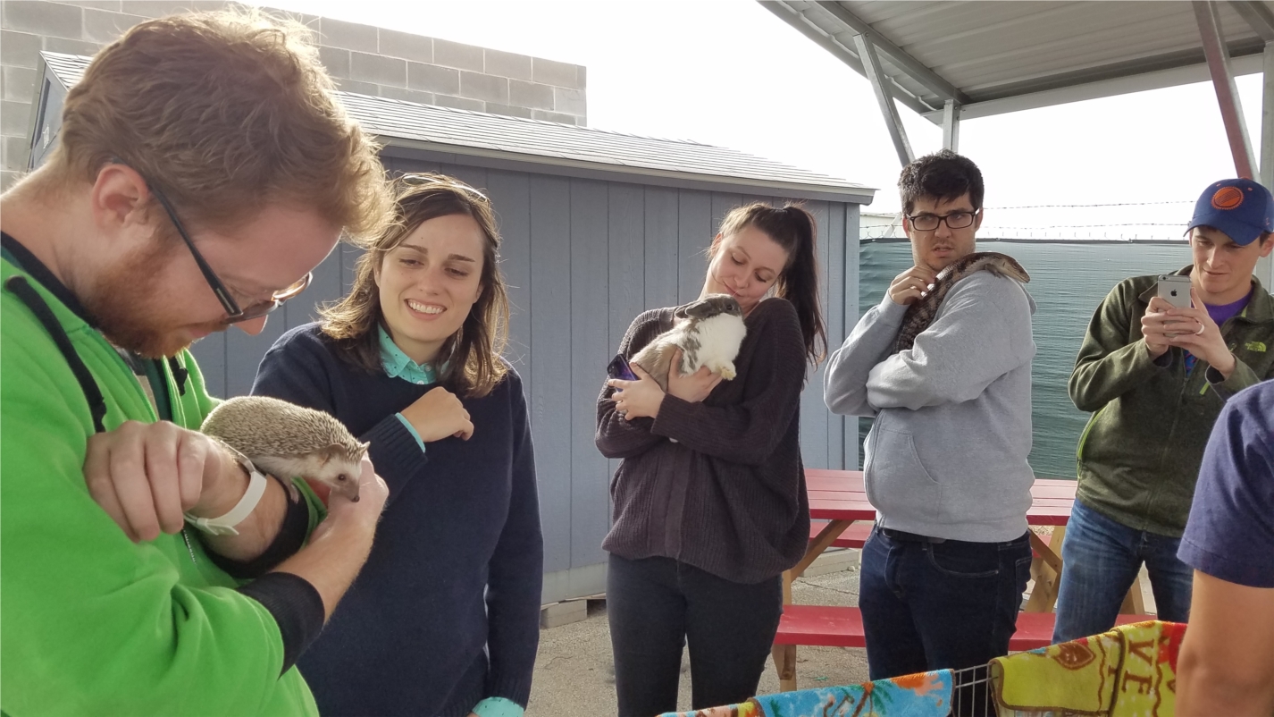 Rooster Teeth Petting Zoo!