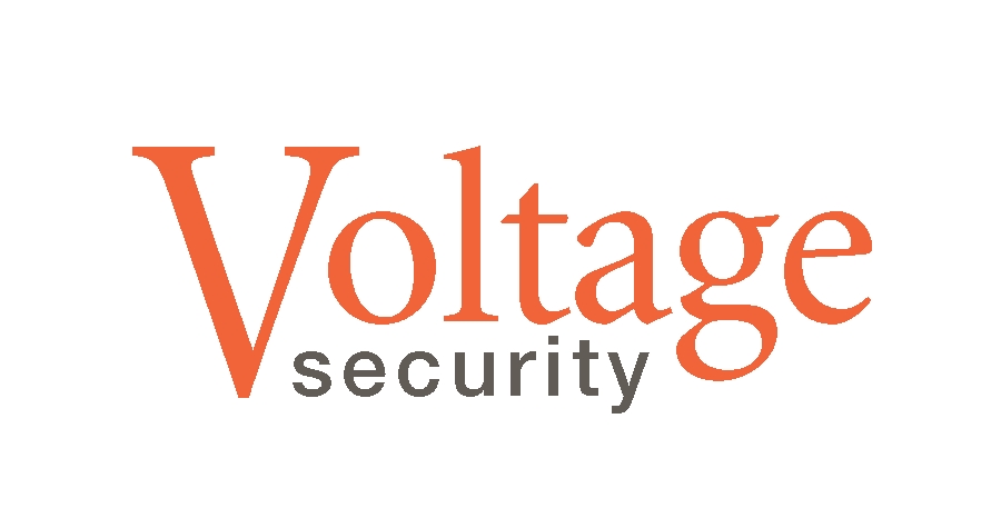 Voltage Security logo