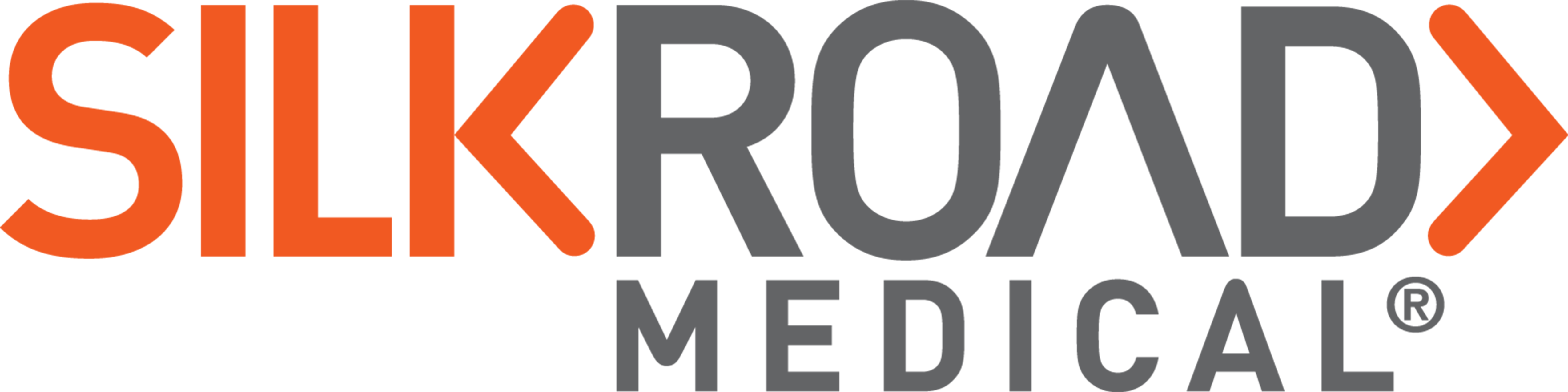 Silk Road Medical Company Logo