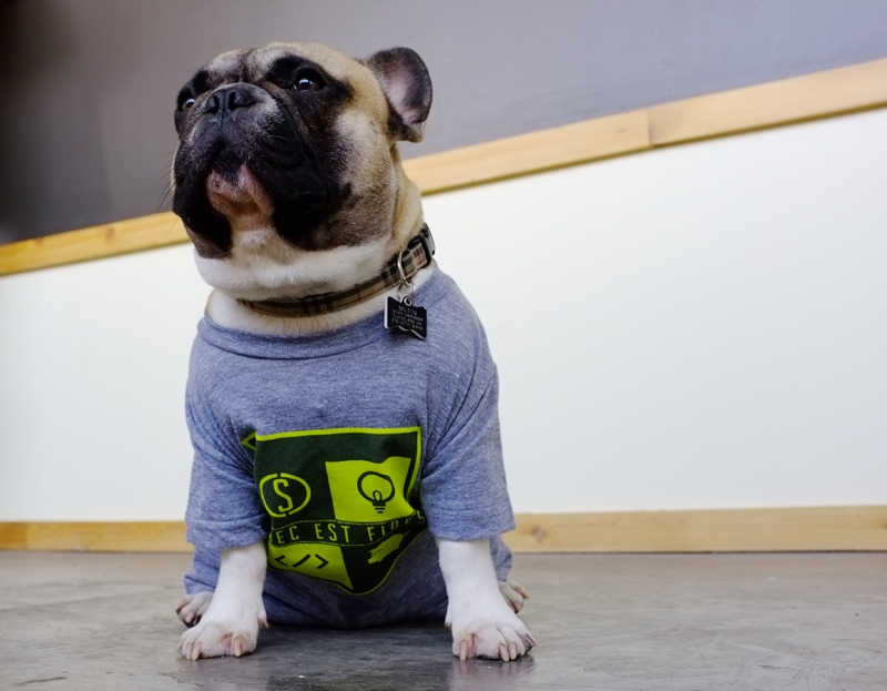 Every top workplace needs a top dog. Meet Milton, Chief Morale Officer. 