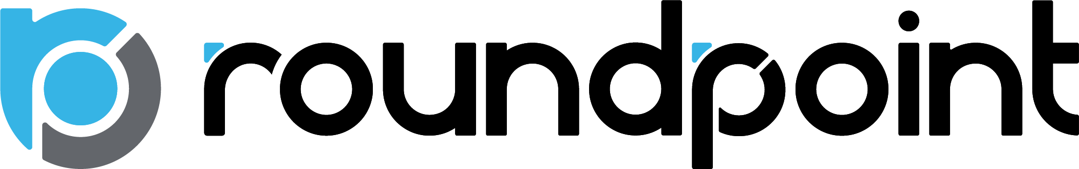 RoundPoint Mortgage Servicing Corporation logo