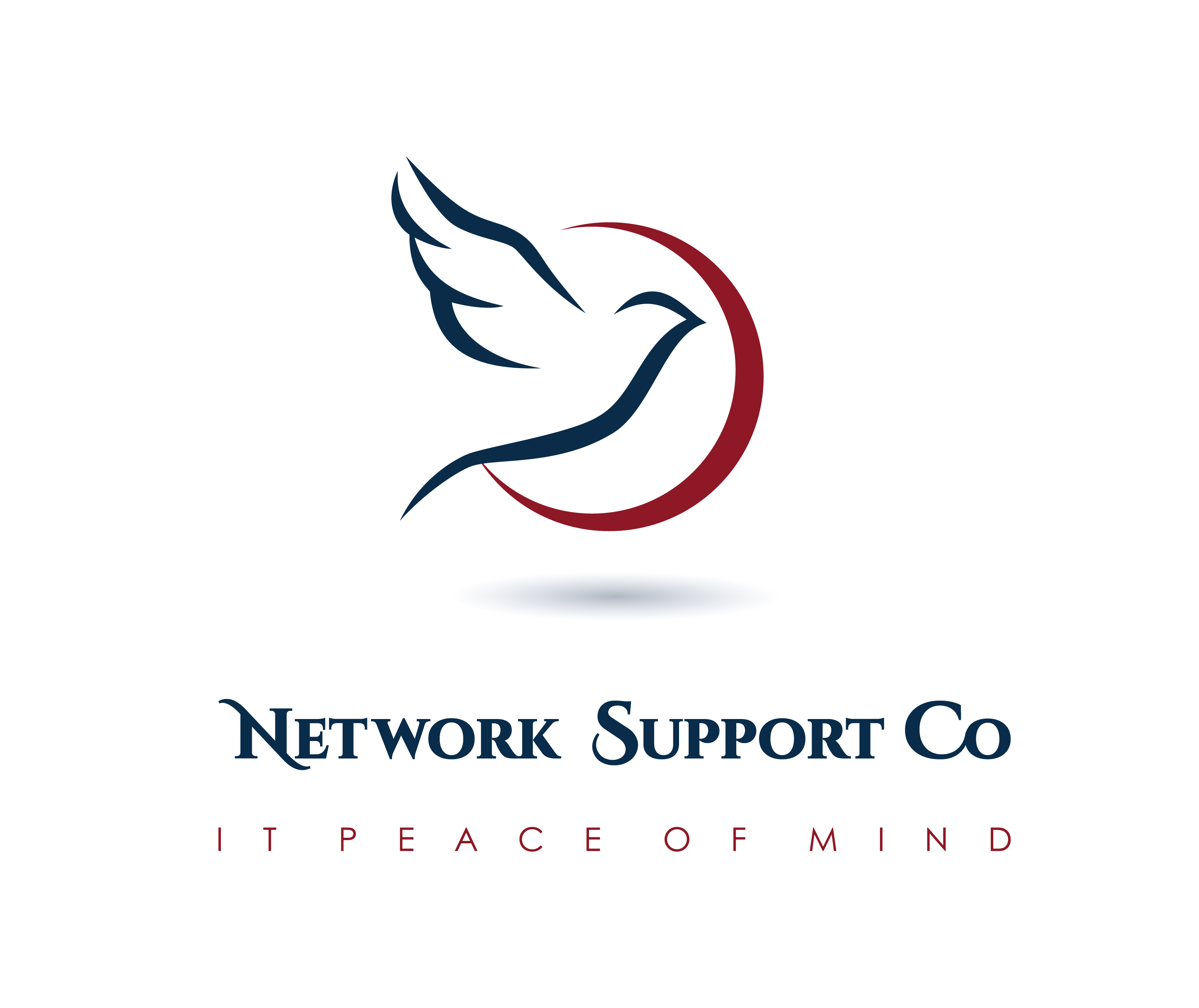 The Network Support Company Company Logo