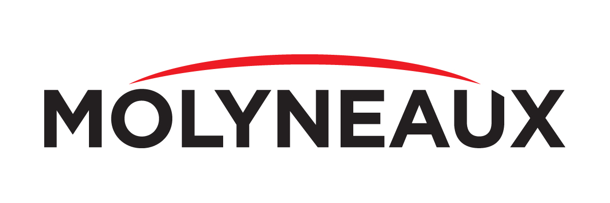 Molyneaux Insurance Inc. Company Logo
