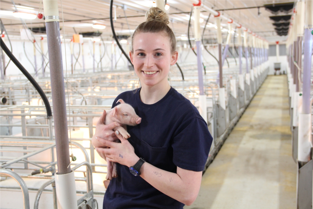Employees at Iowa Select Farms find caring for animals a meaningful and rewarding career