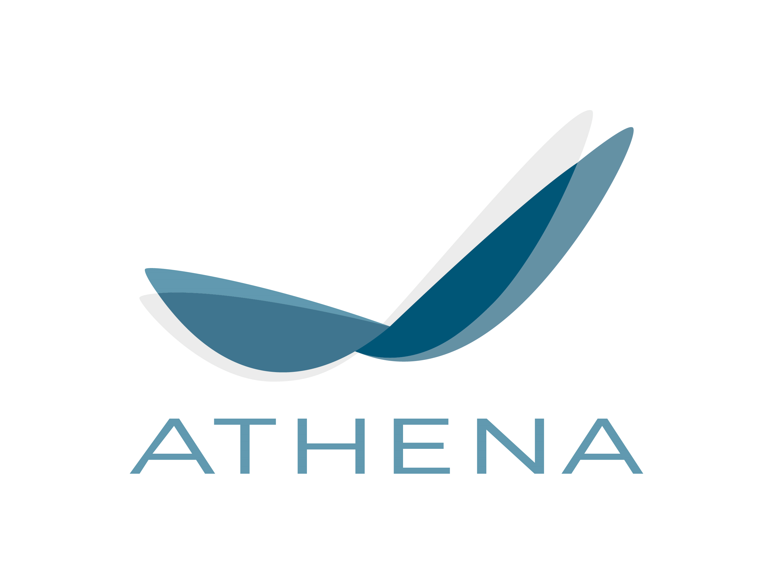 Athena Global Advisors Company Logo