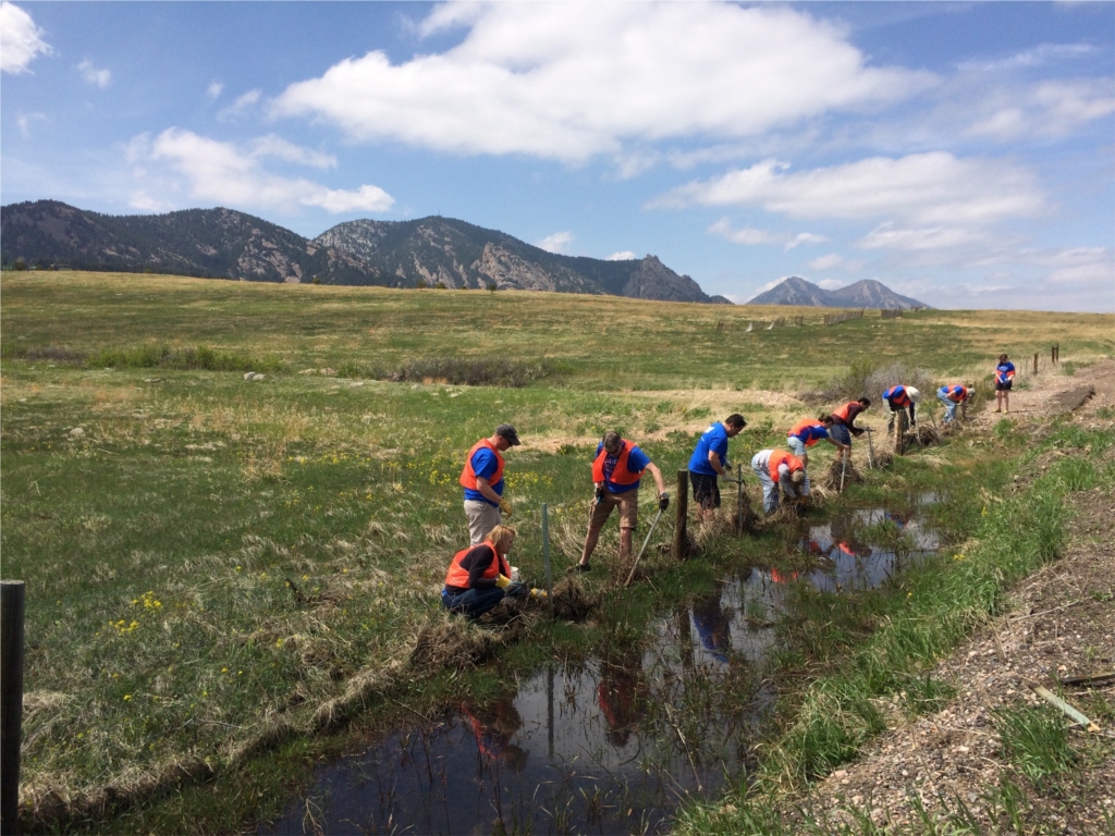 Associates from Baird’s Boulder branch worked in the foothills outside Boulder to assist Jeffco Open Space Park and Trails during Baird Gives Back Week.