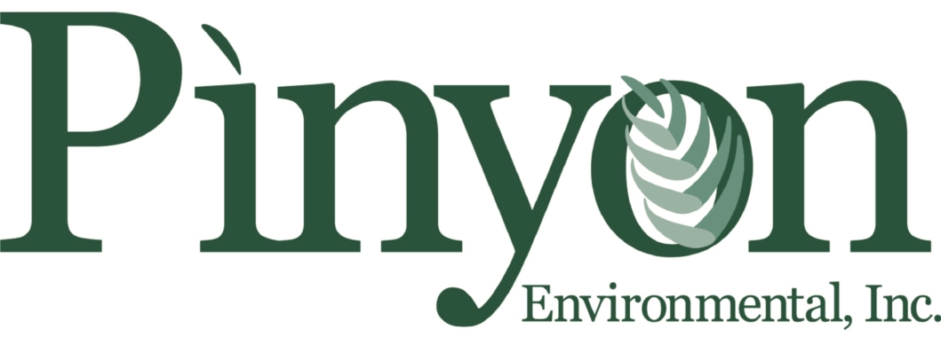Pinyon Environmental, Inc. logo