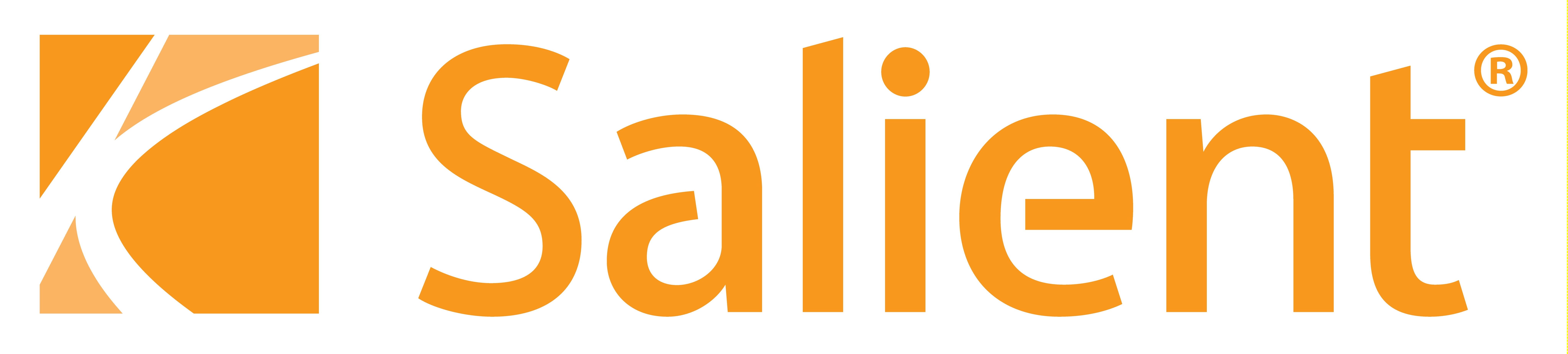 Salient Partners logo