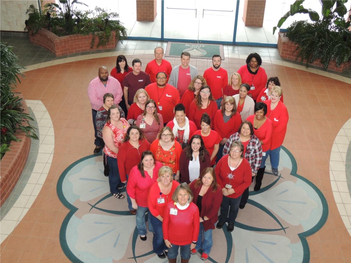 Summit Strategic Solutions supports "Go Red for Women' event!