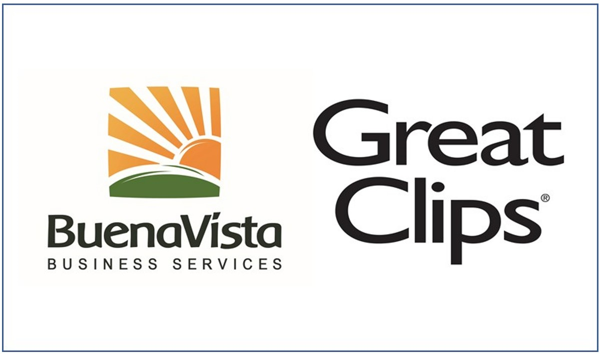 Buena Vista Business Services LP logo