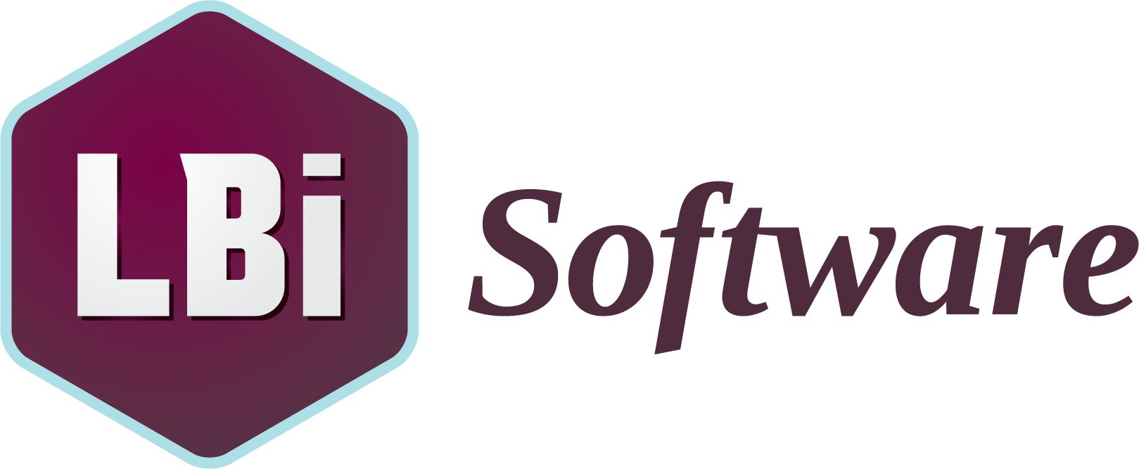 LBi Software Company Logo