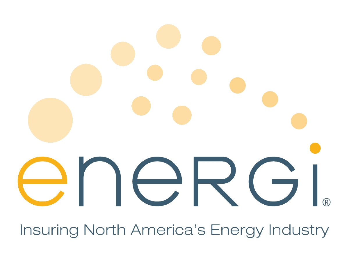 Energi Inc Company Logo