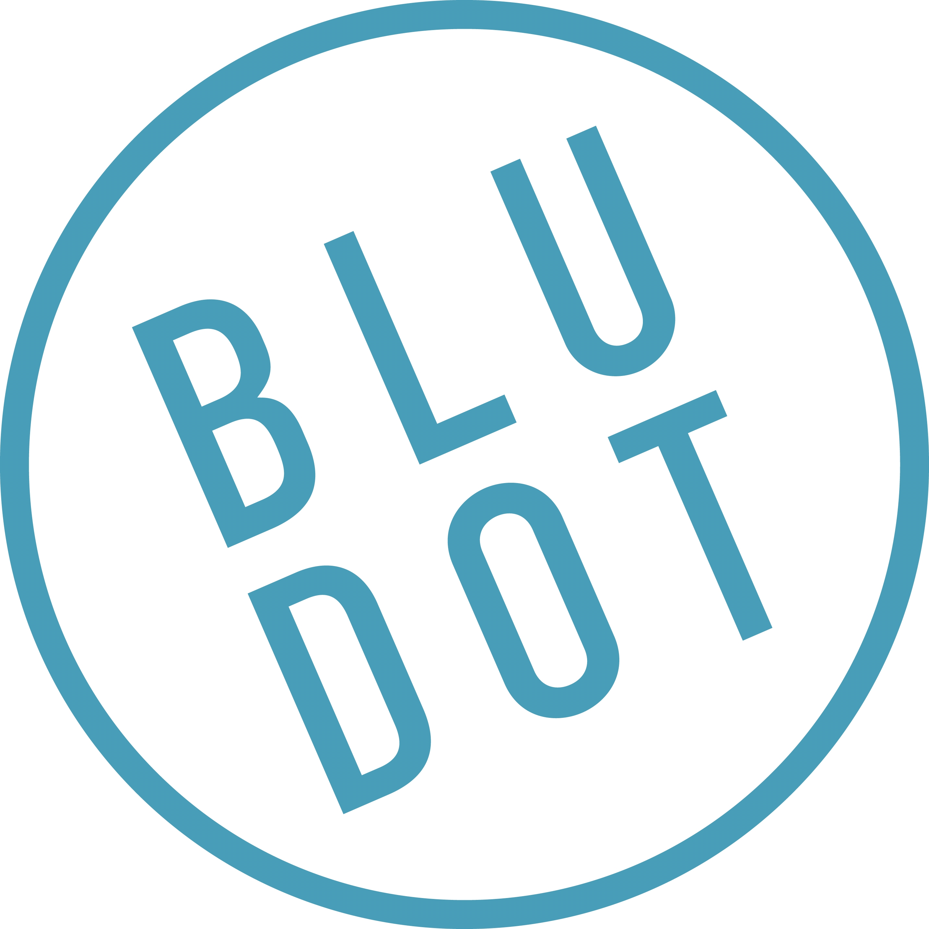 Blu Dot Design and Manufacturing, Inc. Company Logo