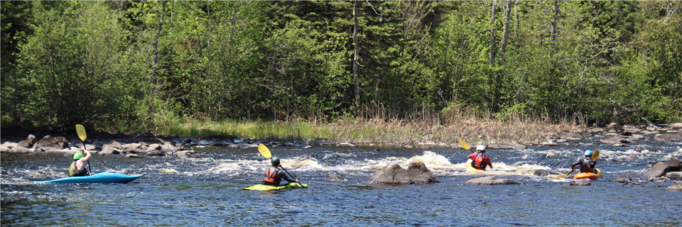 Staff on a paddle break in First Rapids on the Kawishiwi River in front of our Ely, MN office (aka Homeplace).