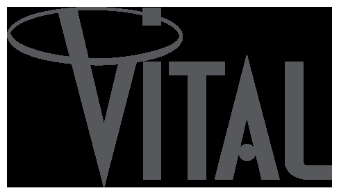 Vital Network Services logo