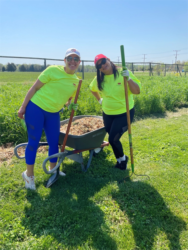 Consigli’s DC office volunteered their time at Cedar Ridge Farm in celebration of Earth Day. The Farm grows roughly 2 tons of organic food that is then distributed to people in need.